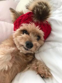 Fundraising Page Image